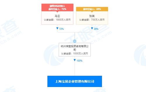 馬云旗下公司全資收購(gòu)寶恩企業(yè)管理咨詢，深化商業(yè)版圖布局
